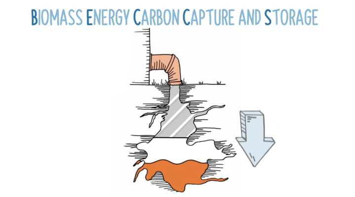 Ideas and insights: Bioenergy Carbon Capture and&nbsp;Storage